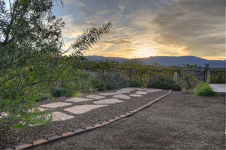 Back Yard Sunset