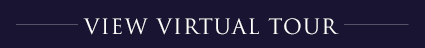 virtual tour button