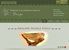 Native California White Sage